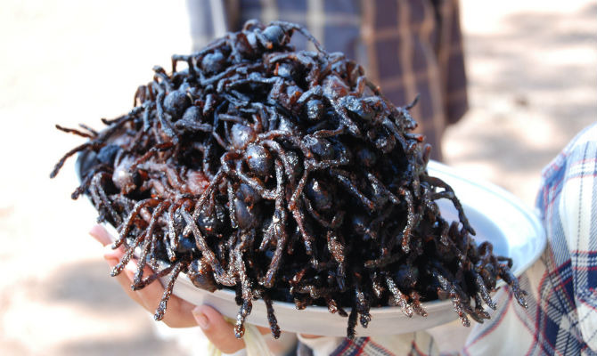 Fried Spiders in Cambodia